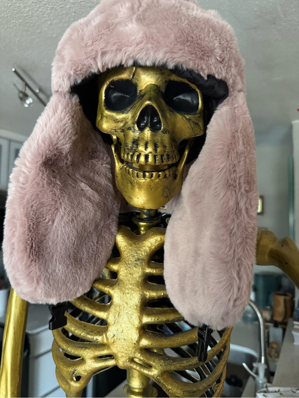 Faux Fur Trapper Hat - Dusty Pink